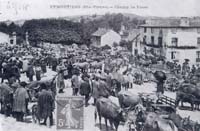 Champ de foire