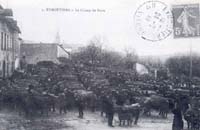 Champ de foire