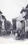 Rue Farge