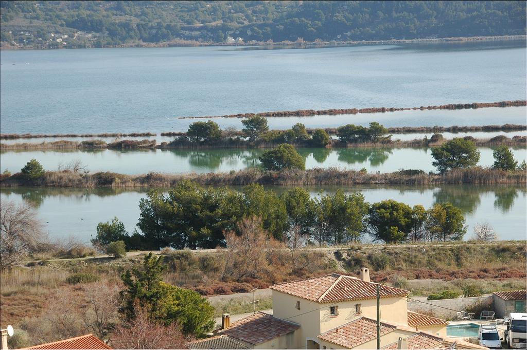 Camargue 01