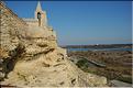 Camargue 03