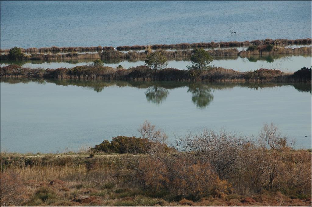 Camargue 05