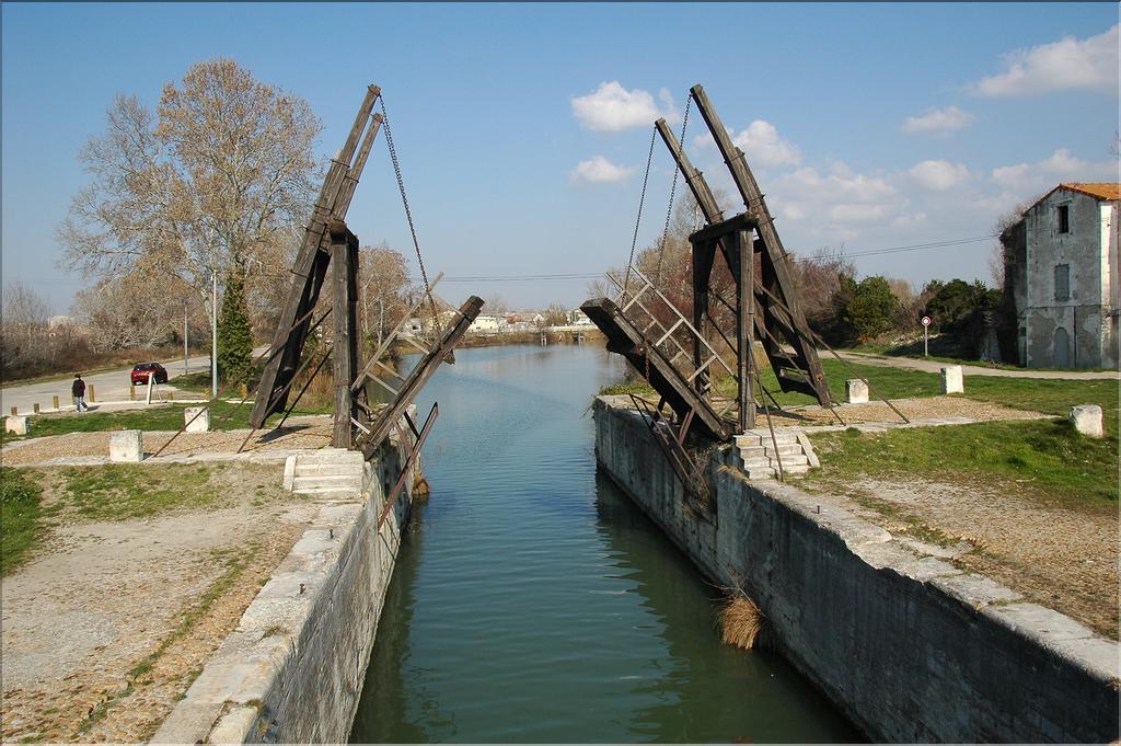 Camargue 07