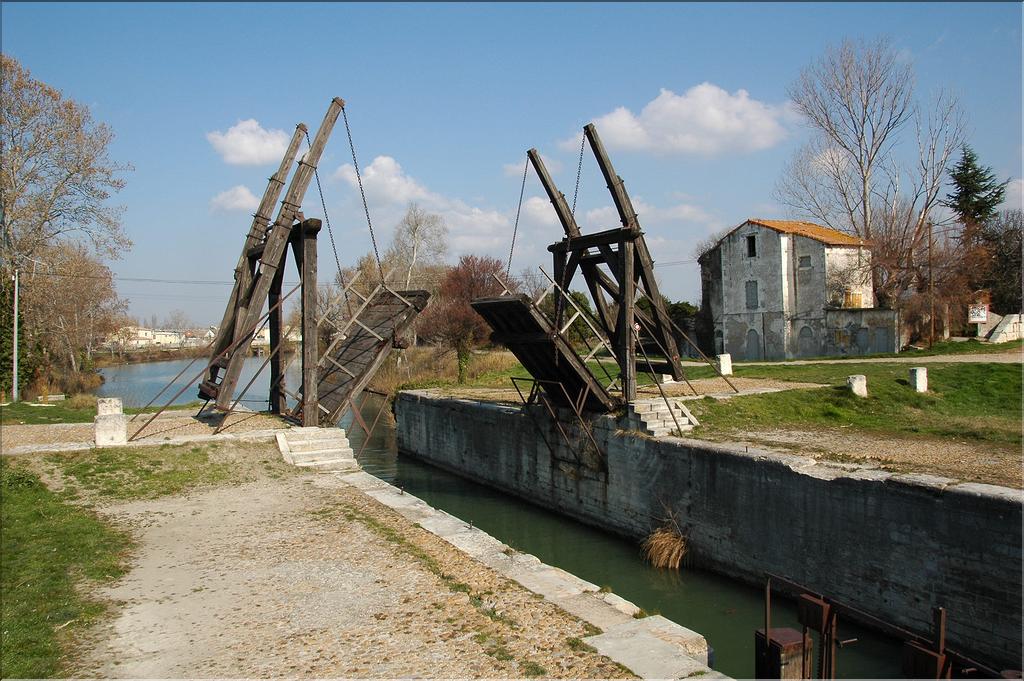 Camargue 08
