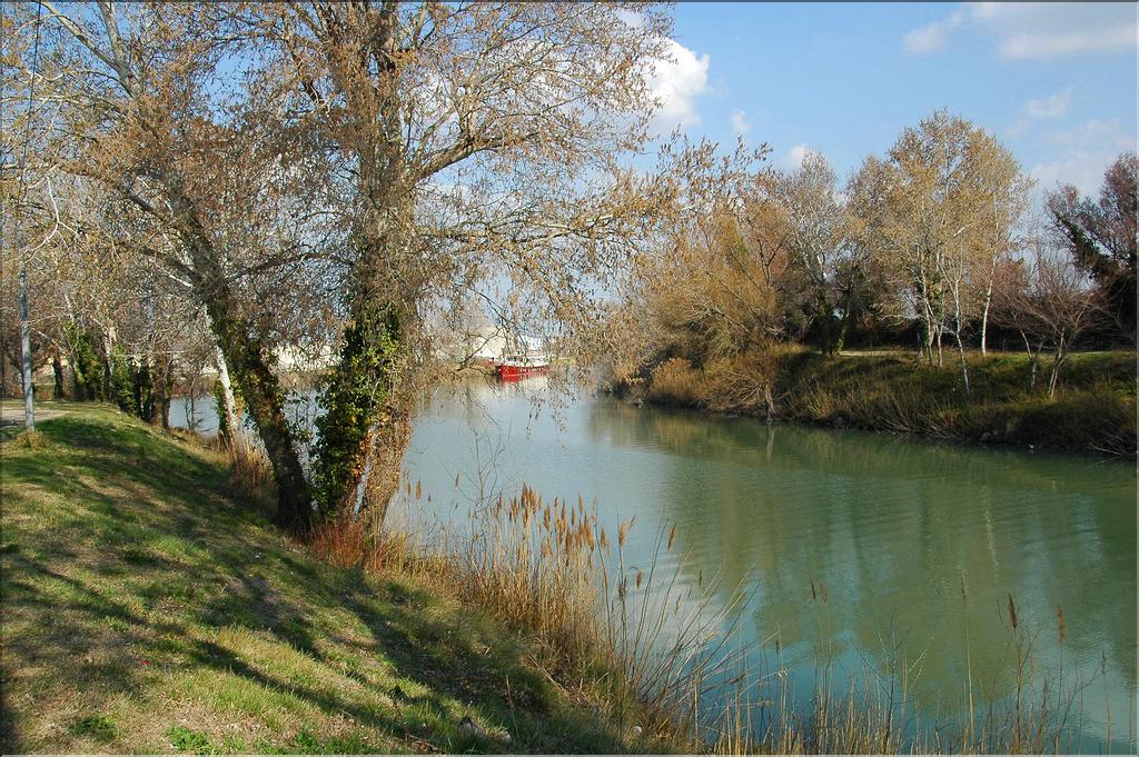 Camargue 10