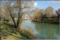 Camargue 10