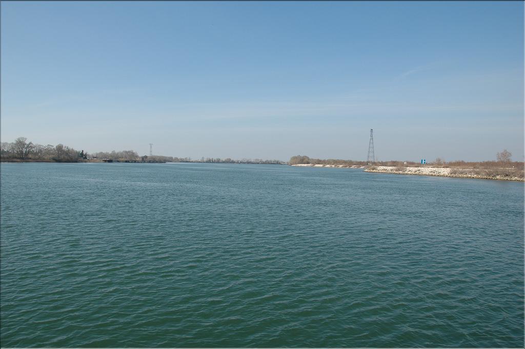 Camargue 16