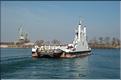 Camargue 19