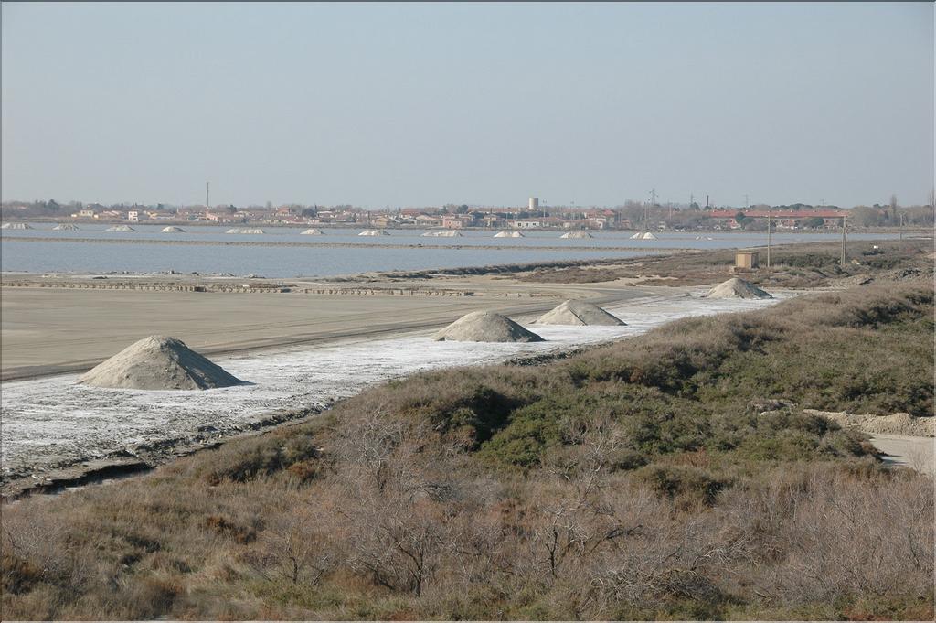 Camargue 20