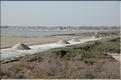 Camargue 20