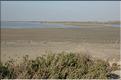 Camargue 24