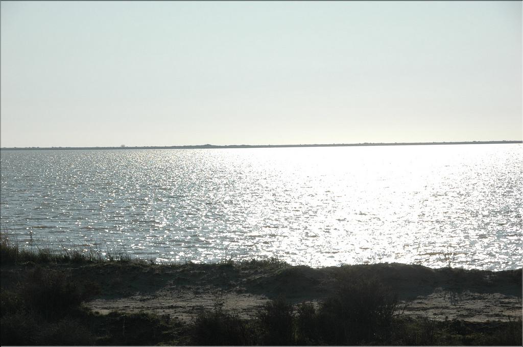 Camargue 26