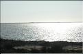 Camargue 26