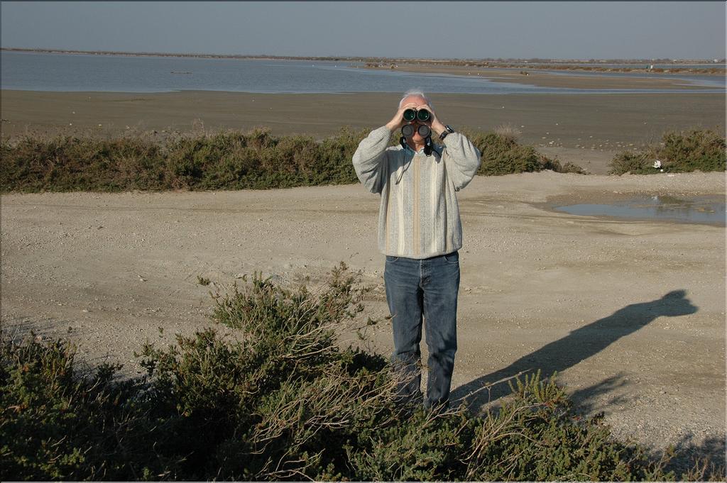 Camargue 28