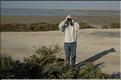 Camargue 28