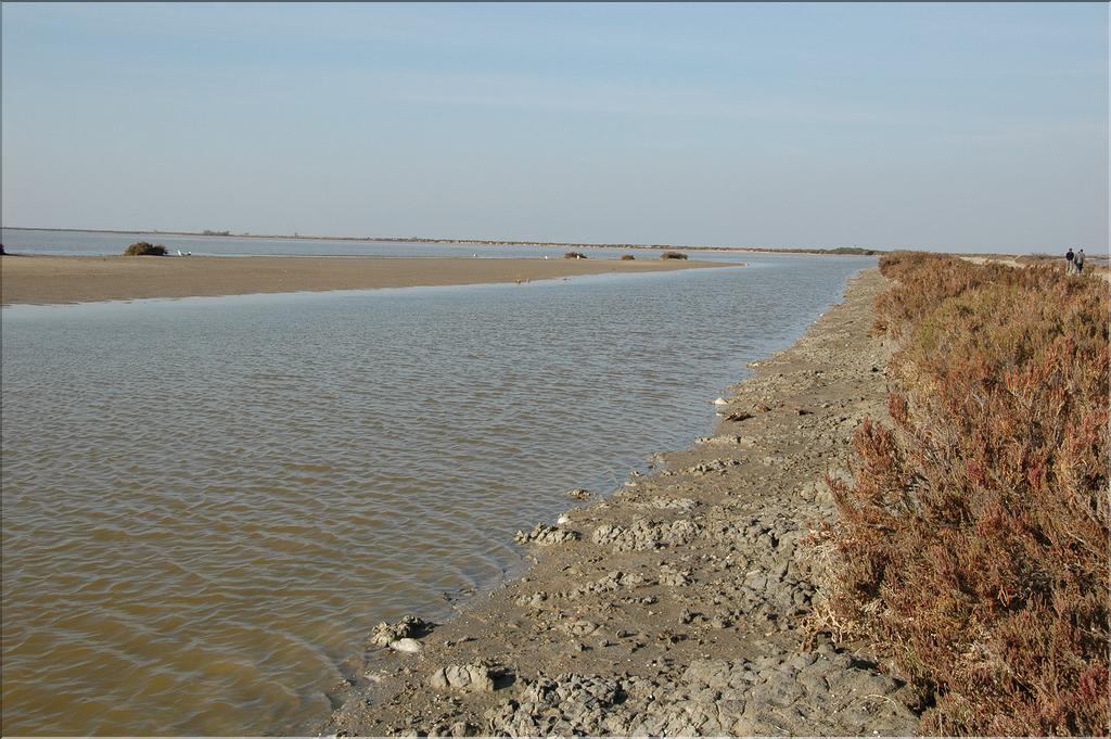 Camargue 29