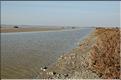 Camargue 29