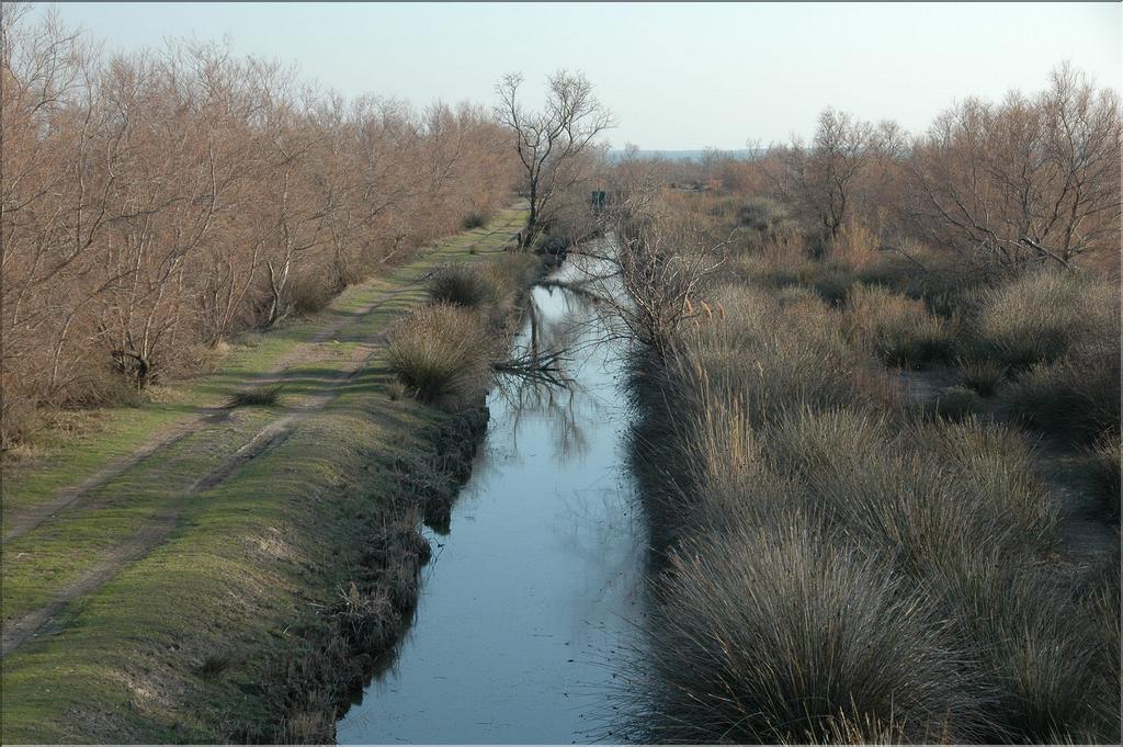 Camargue 39