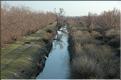 Camargue 39