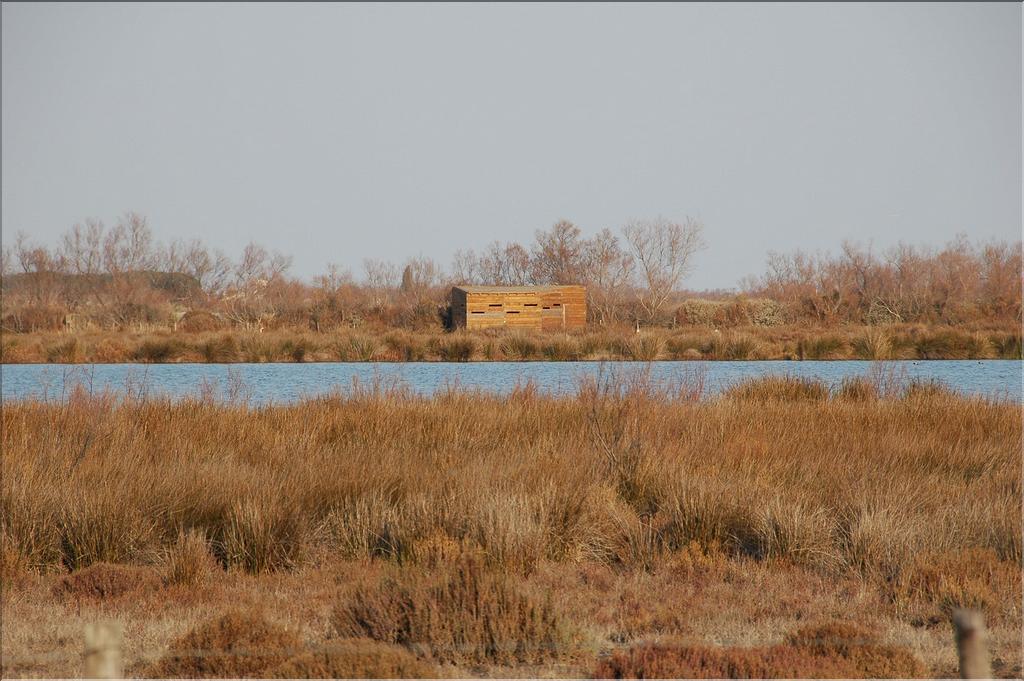 Camargue 43