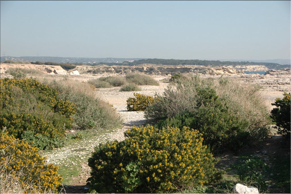 Cote_Bleue  09