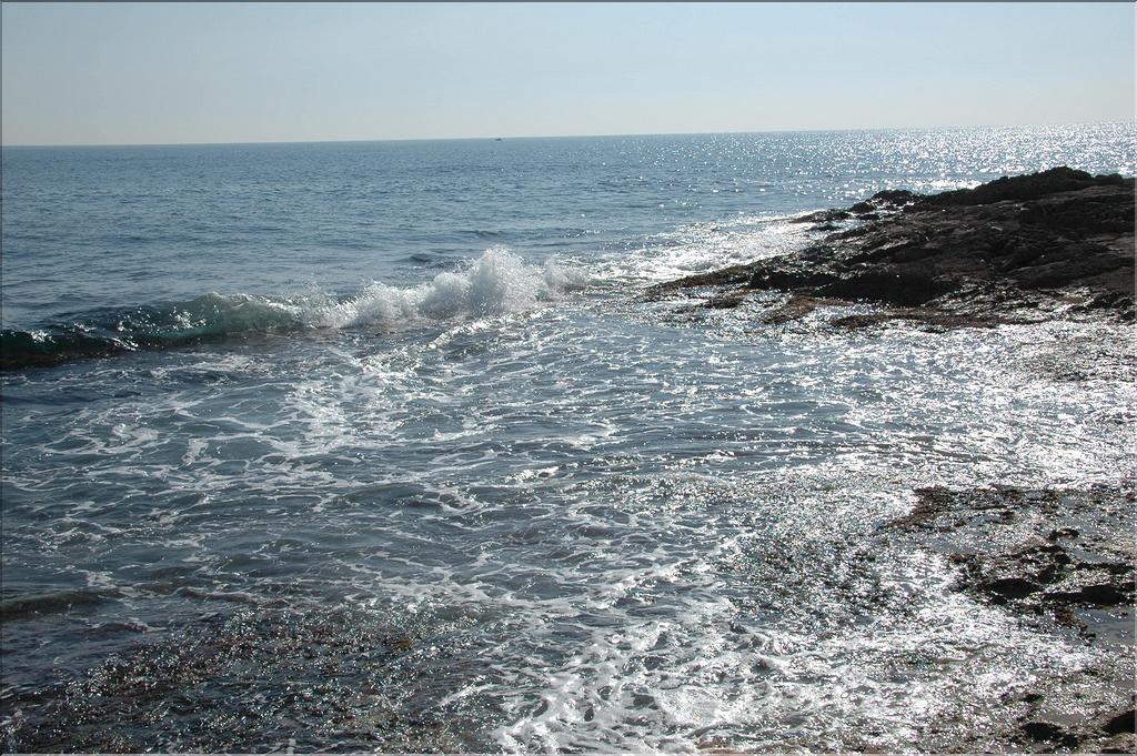 Cote_Bleue  15