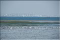 Cote_Bleue  18