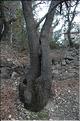 Entremont_Aix 17