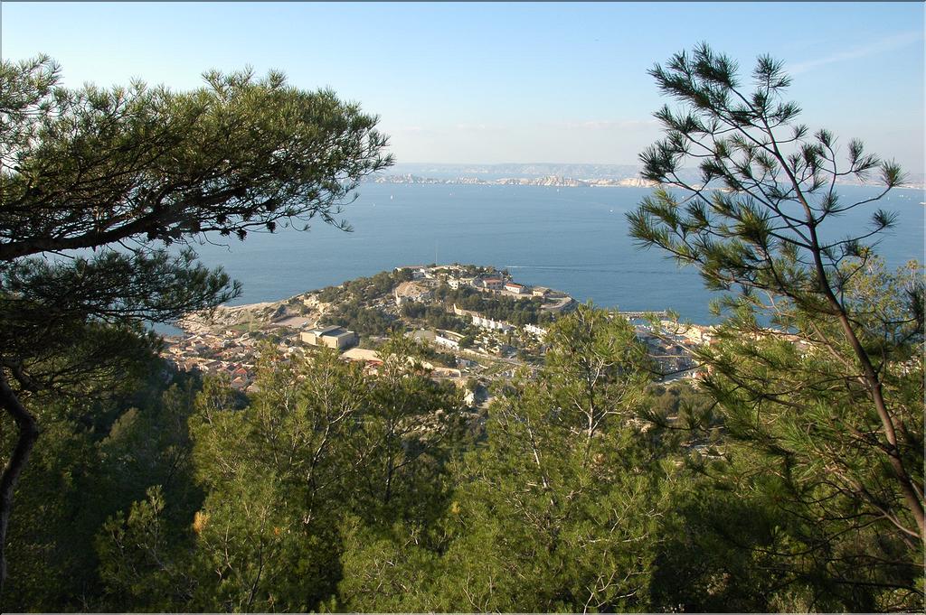 Marseilleveyre 03