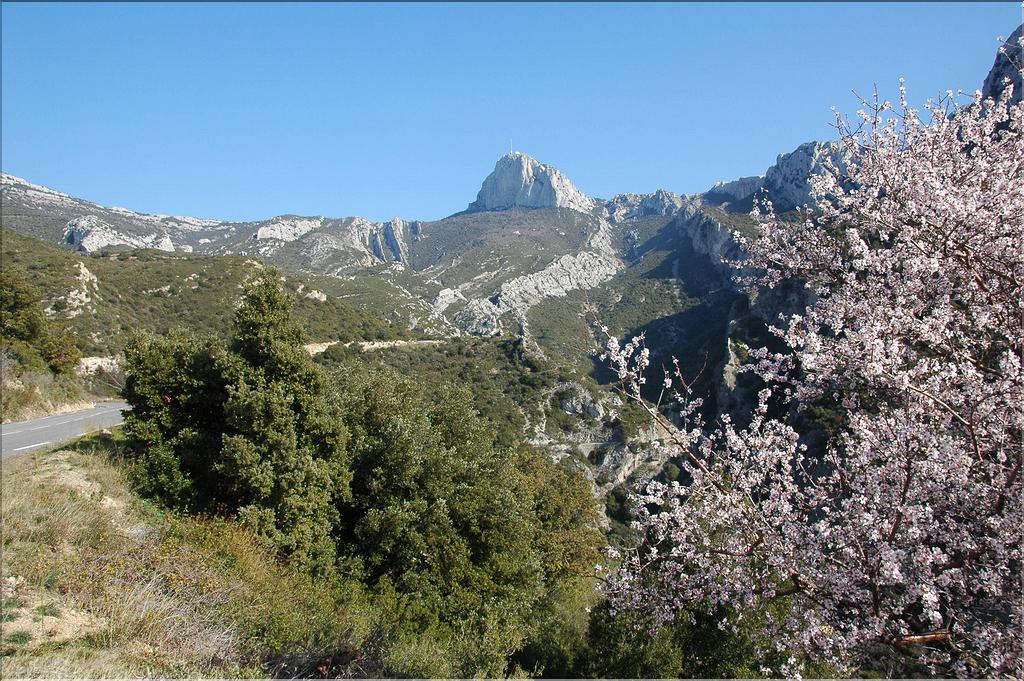 Ste_Baume_1  01