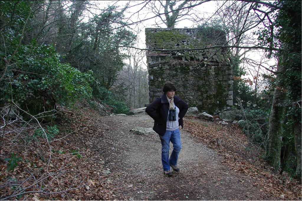 Ste_Baume_1  11