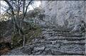 Ste_Baume_1  13