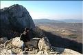 Ste_Baume_1  15