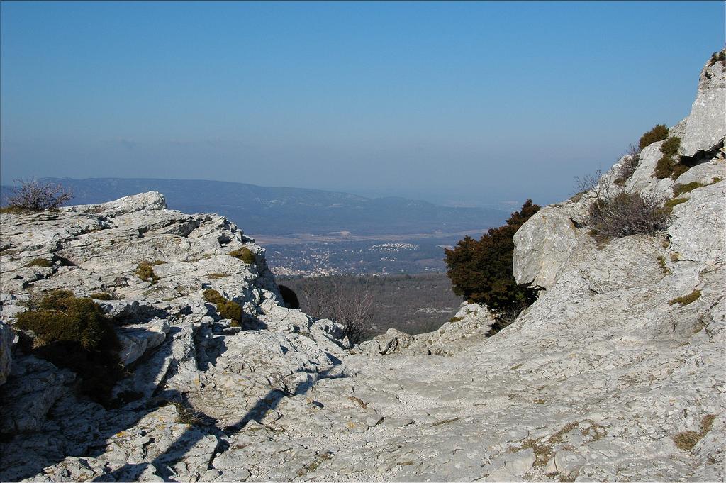 Ste_Baume_1  16