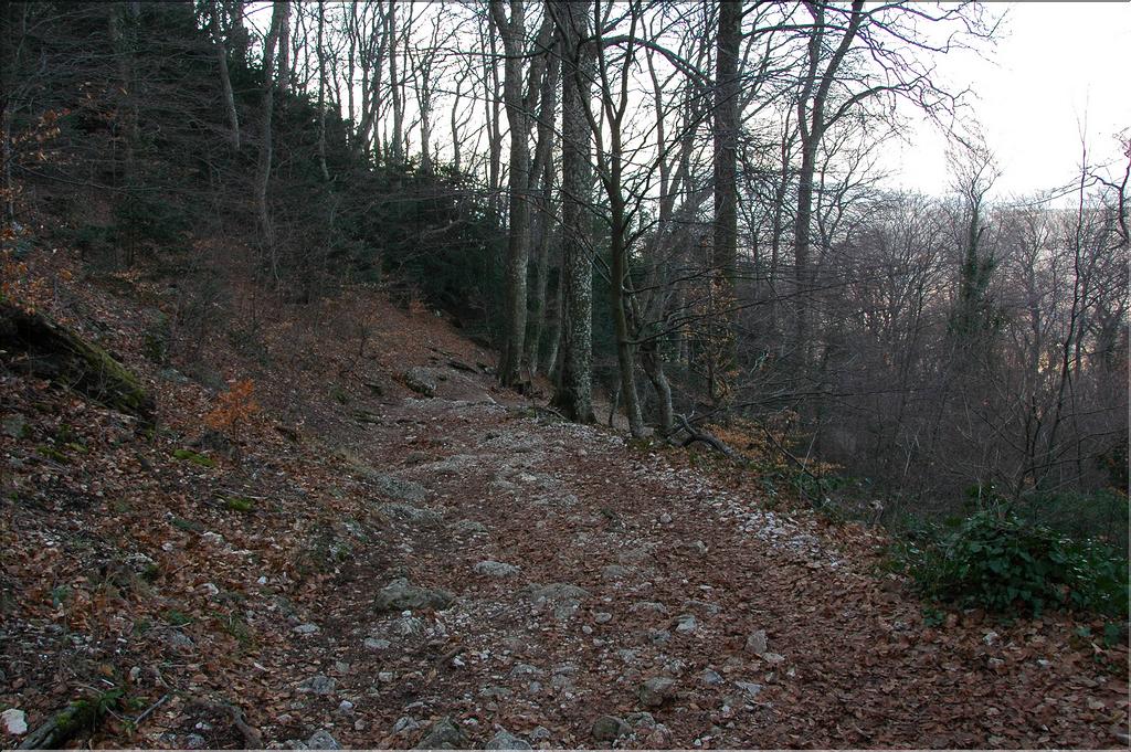 Ste_Baume_1  26