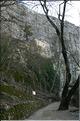 Ste_Baume_1  27
