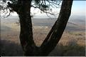 Ste_Baume_1  29
