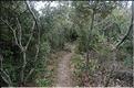 Ste_Baume_2  10