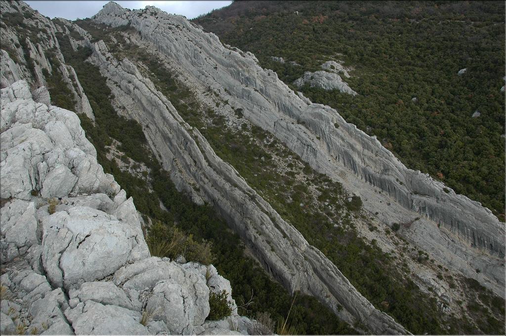 Ste_Baume_2  11