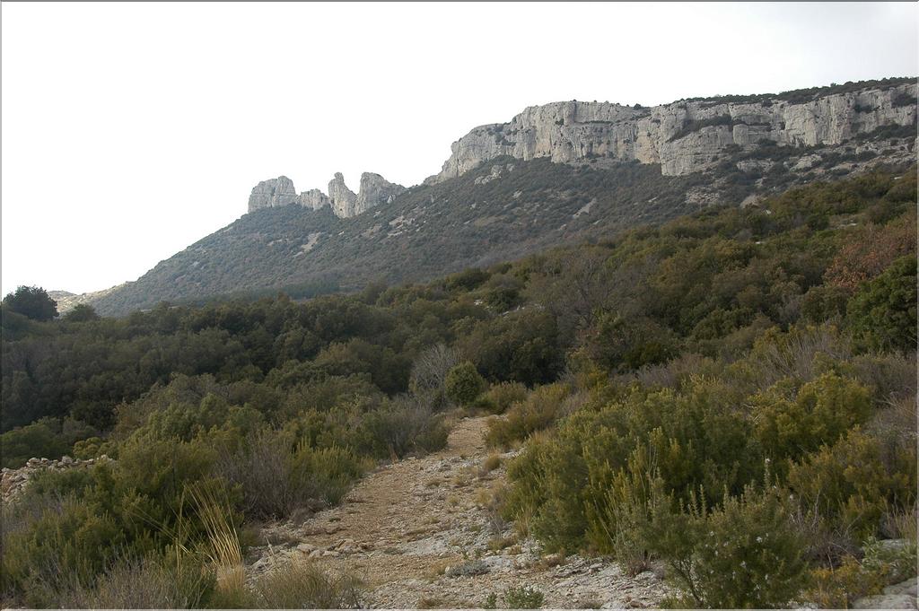 Ste_Baume_2  13