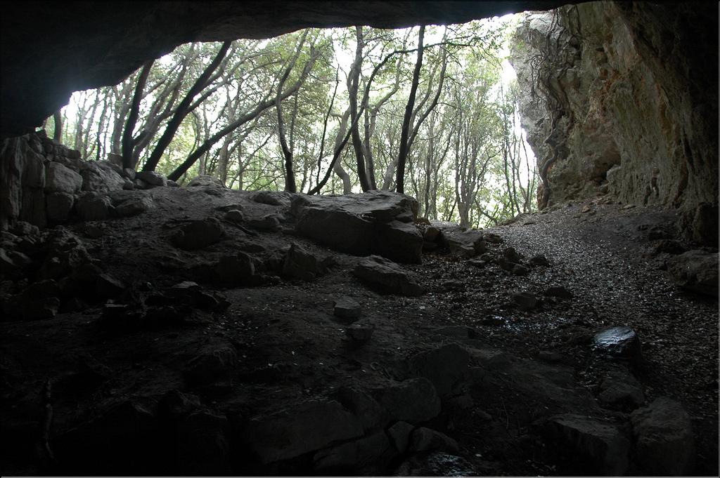 Ste_Baume_2  17