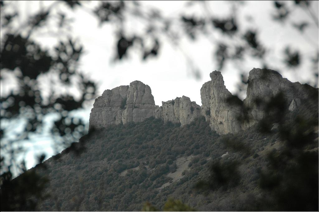 Ste_Baume_2  23
