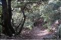 Ste_Baume_2  25
