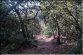 Ste_Baume_2  26