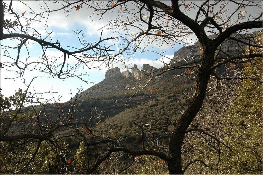 Ste_Baume_2  27