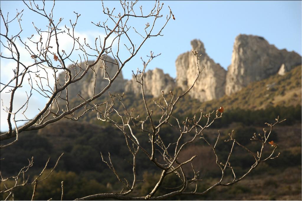 Ste_Baume_2  29