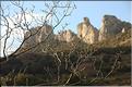 Ste_Baume_2  29