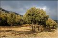 Ste_Baume_2  32