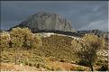 Ste_Baume_2  33