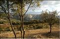 Ste_Baume_2  34